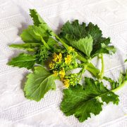 broccoli-4822674_1920