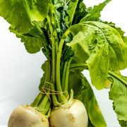turnip-5231857_1920