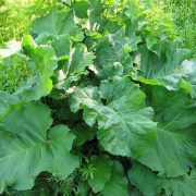 1280px-Косинские_озера_4