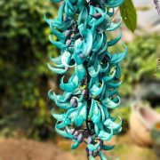 background-7025593_1920