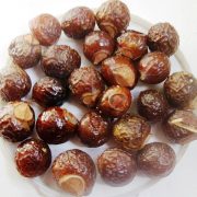 Ritha_(Sapindus_mukorossi)_fruits