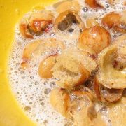 Sapindus_saponaria-soapy