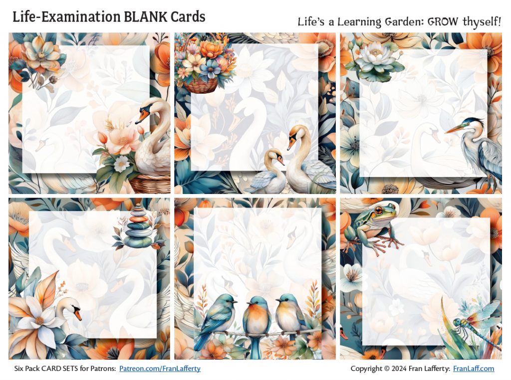 6packLifeExamCards1088