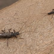 250318ColumbusCoPark