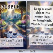 FBs2c19pebble