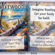 FBs2c9driftwood
